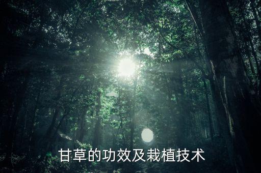  甘草的功效及栽植技術