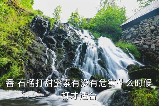 石榴打什么農(nóng)藥甜些好用,石榴樹打什么農(nóng)藥不生蟲
