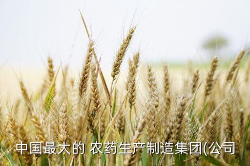 中國最大的 農藥生產制造集團(公司