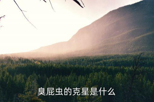臭屁蟲的克星是什么