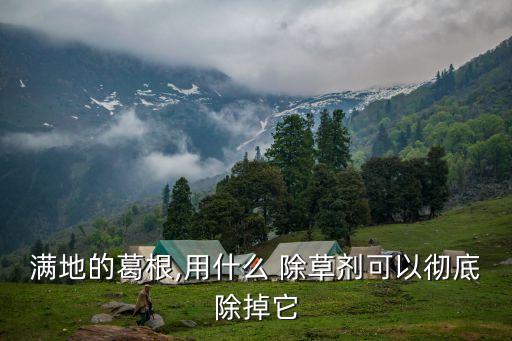 什么農藥能除草除根,荒山除草用什么農藥好?