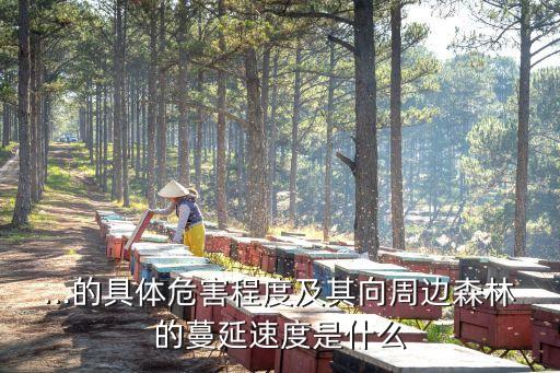 ...的具體危害程度及其向周邊森林的蔓延速度是什么