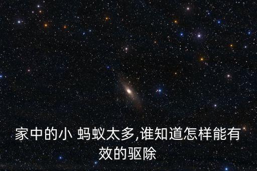 家中的小 螞蟻太多,誰(shuí)知道怎樣能有效的驅(qū)除