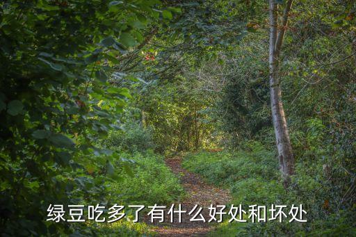 綠豆吃多了有什么好處和壞處