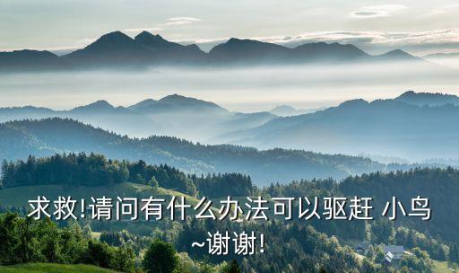 用什么農藥能把小鳥消滅,消滅小鳥的游戲叫什么