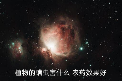 植物的螨蟲害什么 農(nóng)藥效果好