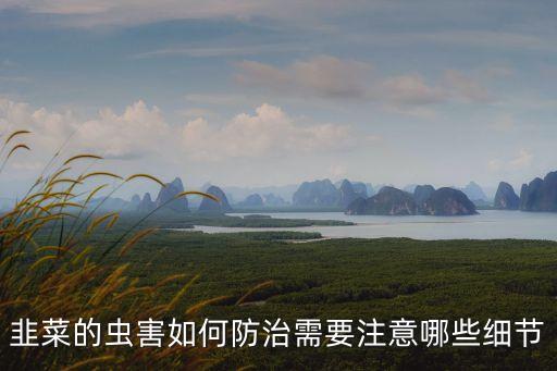 韭菜的蟲害如何防治需要注意哪些細(xì)節(jié)
