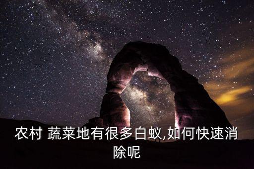 農村 蔬菜地有很多白蟻,如何快速消除呢
