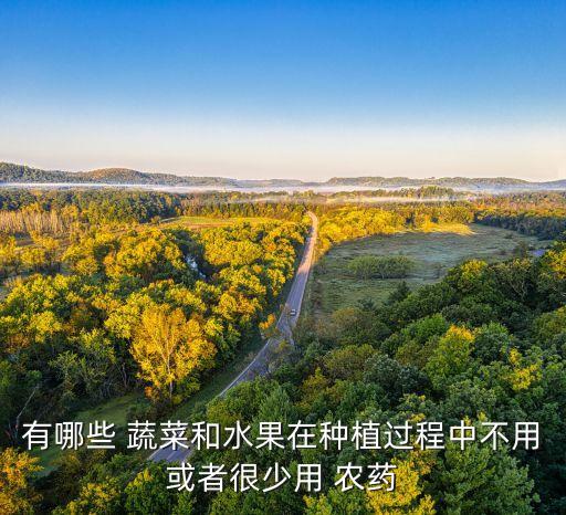 有哪些 蔬菜和水果在種植過程中不用或者很少用 農藥