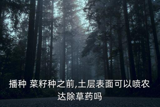 菜籽現(xiàn)在打什么藥,打菜籽打什么農(nóng)藥