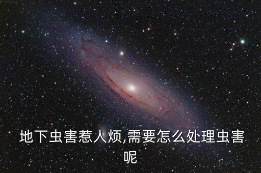 胖胖的地下蟲子用什么農藥