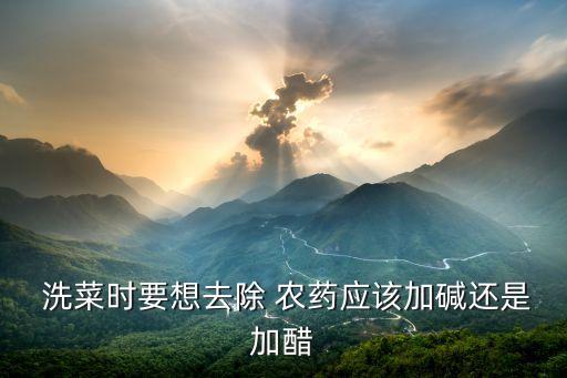  洗菜時要想去除 農藥應該加堿還是加醋