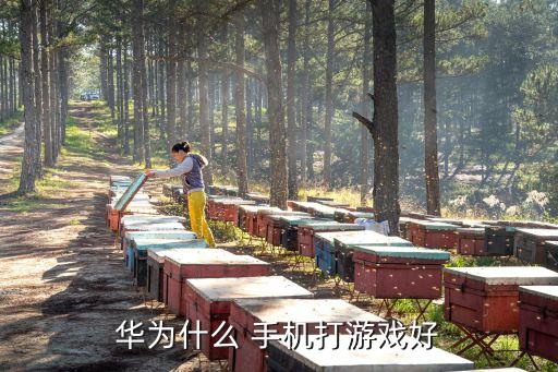 用手機打農藥用什么,什么字用手機打不出來