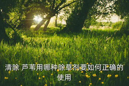 清除 蘆葦用哪種除草劑要如何正確的使用