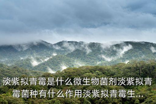 淡紫擬青霉是什么微生物菌劑淡紫擬青霉菌種有什么作用淡紫擬青霉生...