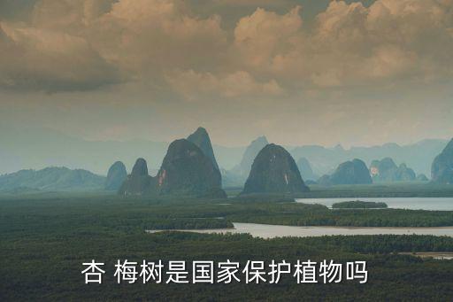 杏 梅樹是國家保護(hù)植物嗎