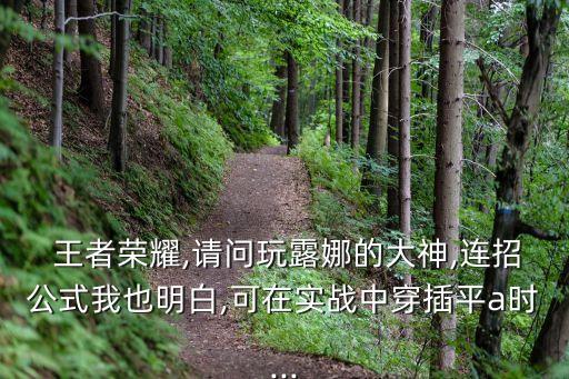 王者農(nóng)藥 冰拳是什么意思,王者榮耀冰拳是什么裝備