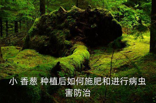 香蔥種植用什么農藥好,香蔥的種植方法和時間
