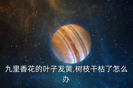什么農(nóng)藥能把樹(shù)枯死呢圖片