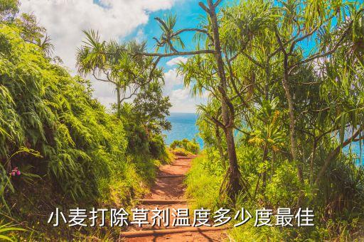 小麥打除草劑溫度多少度最佳