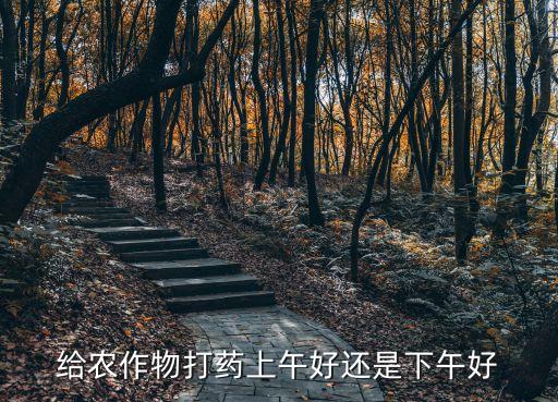 給農作物打藥上午好還是下午好