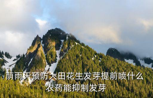 蔭雨天預防大田花生發芽提前噴什么 農藥能抑制發芽