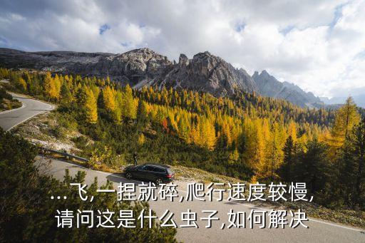 擬步甲用什么農藥,農藥2甲4屬于什么?