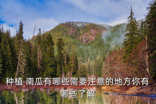 小瓜 南瓜主要用什么農藥,南瓜主要含什么