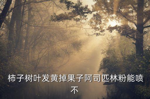  柿子樹葉發黃掉果子阿司匹林粉能噴不