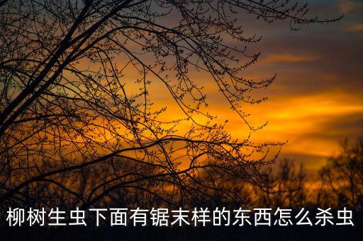 柳樹生蟲下面有鋸末樣的東西怎么殺蟲
