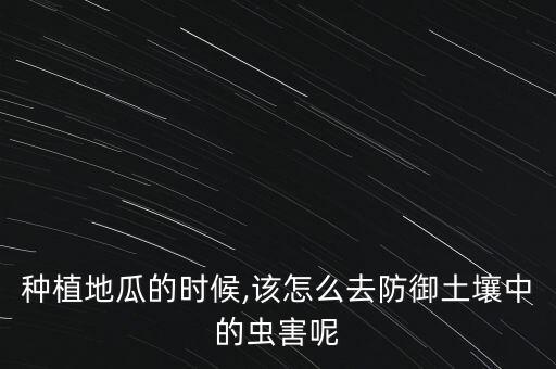 紅薯病蟲害用什么農藥,紅薯要噴什么農藥呢
