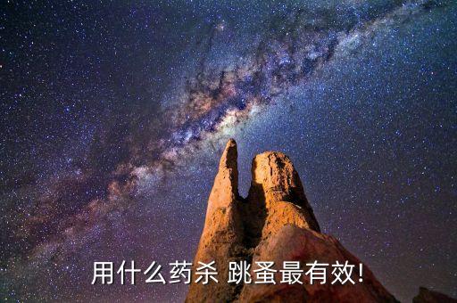什么農(nóng)藥可消滅跳蚤,地跳蚤用什么農(nóng)藥治