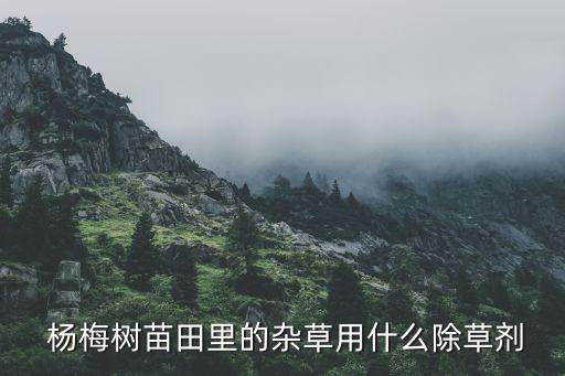 楊梅開花前噴什么農(nóng)藥,楊梅樹開花嗎?什么樣
