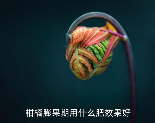 柑橘什么農(nóng)藥拉寬葉面,柑橘花期用什么農(nóng)藥