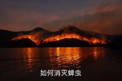 如何消滅蜱蟲