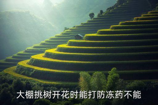 佛手果用什么農藥殺蟲,佛手樹用什么農藥