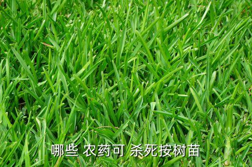 哪些 農藥可 殺死按樹苗