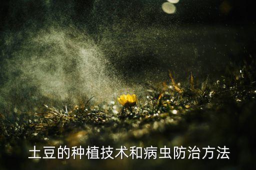  土豆的種植技術和病蟲防治方法