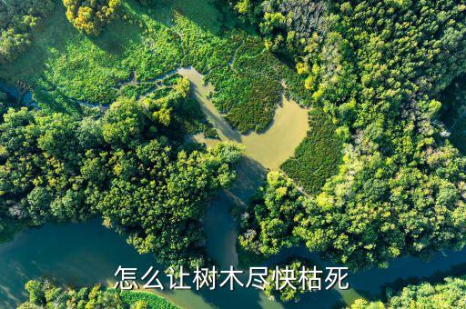 什么農藥能夠讓大樹枯萎,有沒有什么農藥能把大樹打死