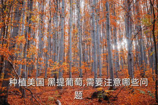 黑提為什么有農藥味