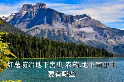 地瓜打什么農藥長得多,種地瓜用什么農藥