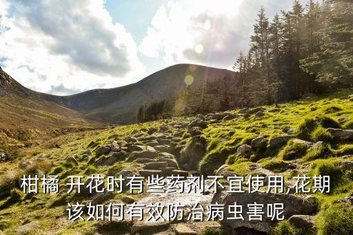 什么農(nóng)藥影響開花,農(nóng)藥對(duì)孕婦有什么影響