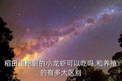 什么農藥不能用稻蝦,藥稻稗什么農藥效果好