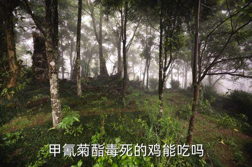 什么農藥雞吃怎樣容易生病