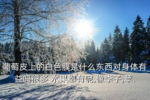 葡萄皮上的白色膜是什么東西對身體有益嗎很多 水果都有呢,像李子,蘋...