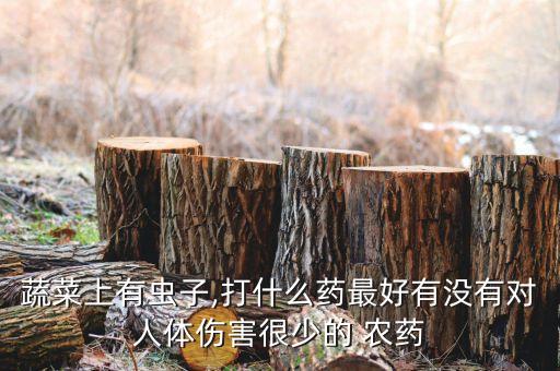 蔬菜上有蟲子,打什么藥最好有沒有對人體傷害很少的 農(nóng)藥