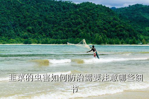  韭菜的蟲害如何防治需要注意哪些細節(jié)