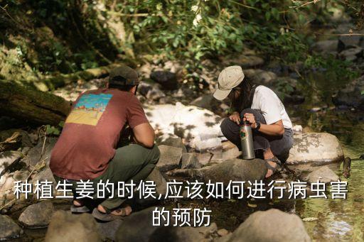 種姜苗用什么農藥消毒,用什么農藥給土壤消毒