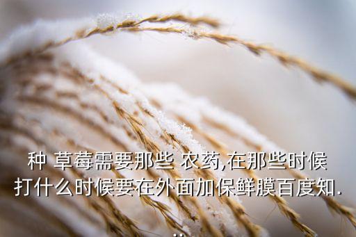 種 草莓需要那些 農(nóng)藥,在那些時候打什么時候要在外面加保鮮膜百度知...
