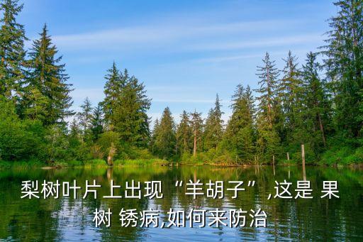 梨樹葉片上出現(xiàn)“羊胡子”,這是 果樹 銹病,如何來防治